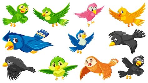 Conjunto De Personaje De Dibujos Animados De Aves Vector Premium