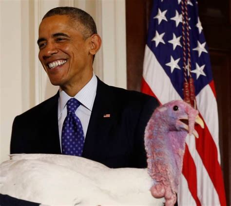 obama pardons turkey in annual thanksgiving tradition metro news