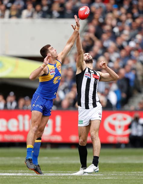 23 degrees and cloudy, no chain of rain. Scott Lycett, Brodie Grundy - Scott Lycett and Brodie ...