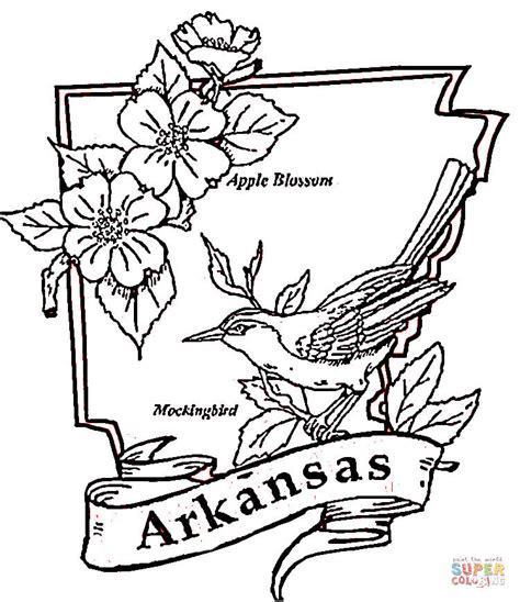 Arkansas Razorbacks Coloring Pages Printable Coloring Pages