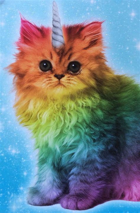 Magical Unicorn Rainbow Kitten Hd Phone Wallpaper Pxfuel