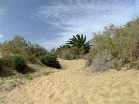 Nudist Area Ahahahha Kuva Playa De Maspalomas Tripadvisor