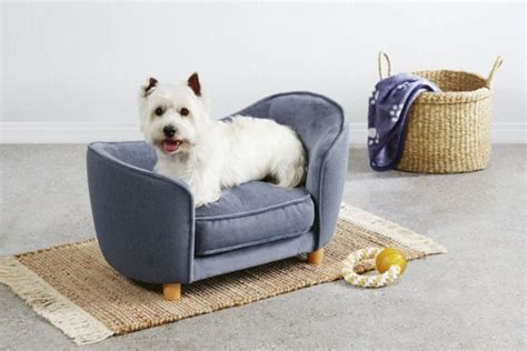 Aldis Famous Pet Sofa Beds Will Be Available After 21 March