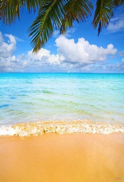 Kate Golden Beach Blue Sea Backdrops For Photography Beach Scene