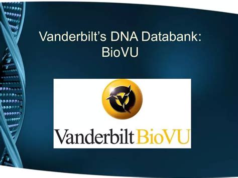 Ppt Vanderbilts Dna Databank Biovu Powerpoint Presentation Free