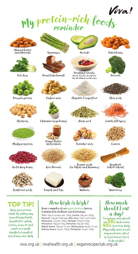 Protein Nutritional Poster Protein Nutrition Vegan Nutrition