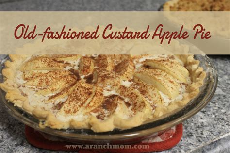 Beat well and pour into the unbaked pie shell. Old-Fashioned Custard Apple Pie - A Ranch Mom