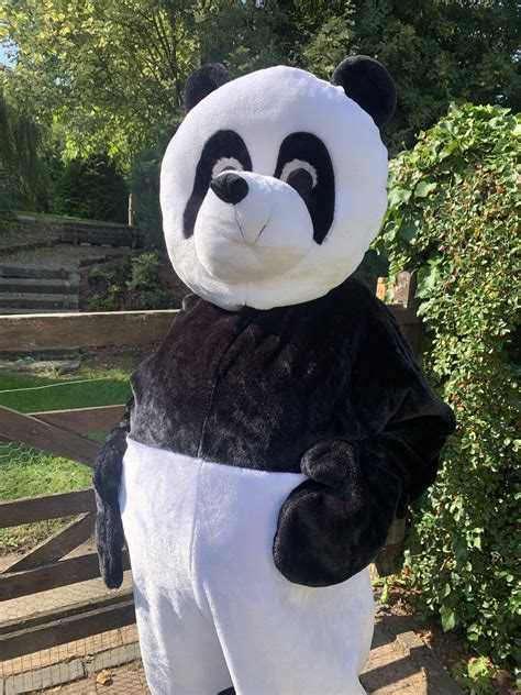 Panda Mascot Costume To Hire Mascot Costumes Animal Fancy Dress