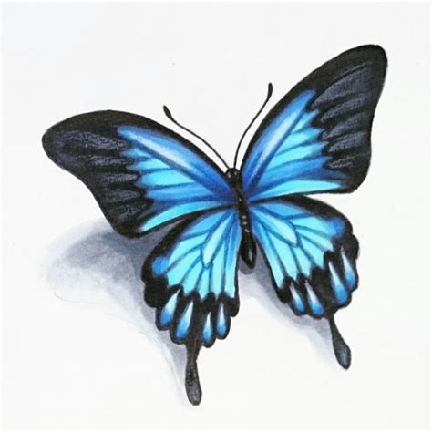 See more ideas about crafts for kids, crafts, arts and crafts for kids. The 25+ best Realistic butterfly tattoo ideas on Pinterest ...
