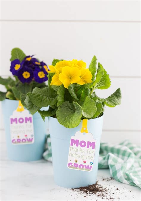 Mothers Day Flower Pot T Free Printable Tags For Mom