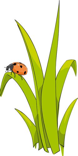 Grass With Ladybugs And Ants Illustration Eps Pdf Png Jpeg Clip