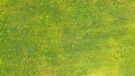 Aerial View Grass Texture