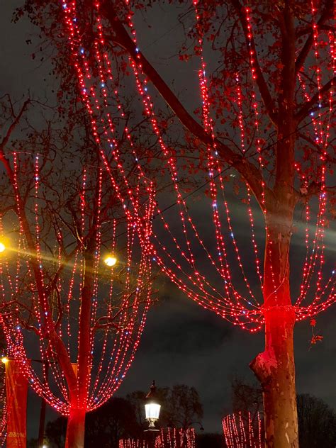 The Most Beautiful Christmas Lights In Paris Landen Kerr