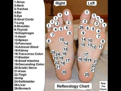 Reflexology Reflexology Reflexology Chart Massage Tips