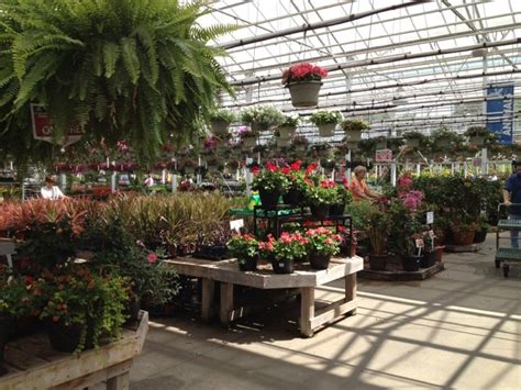 Petitti Garden Centers 18941 Pearl Road Strongsville Oh Garden