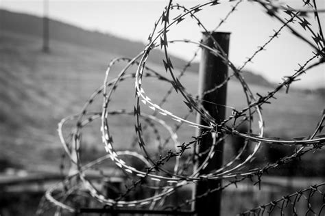 Barbed Wire Free Stock Photo - Public Domain Pictures