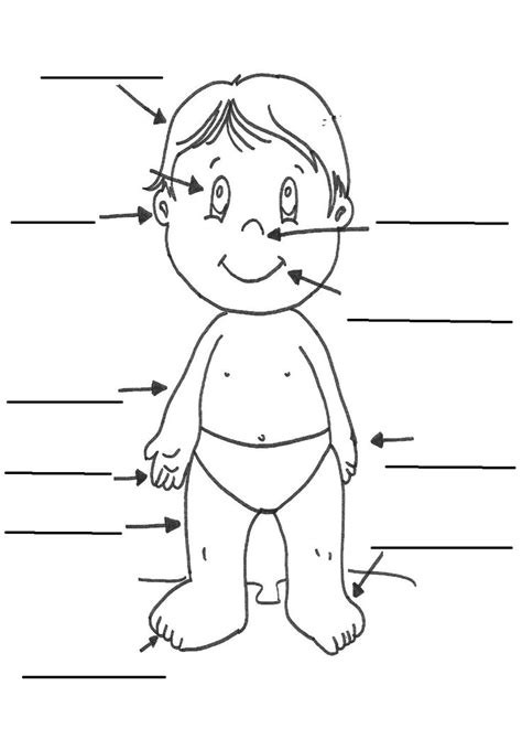 Body parts in tamil worksheet / the upper region of the body includes everything above the neck. Pin en Worksheets