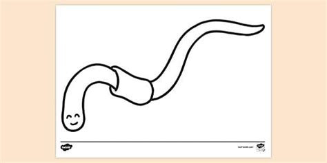 Free Worm Colouring Sheet Colouring Pages Twinkl
