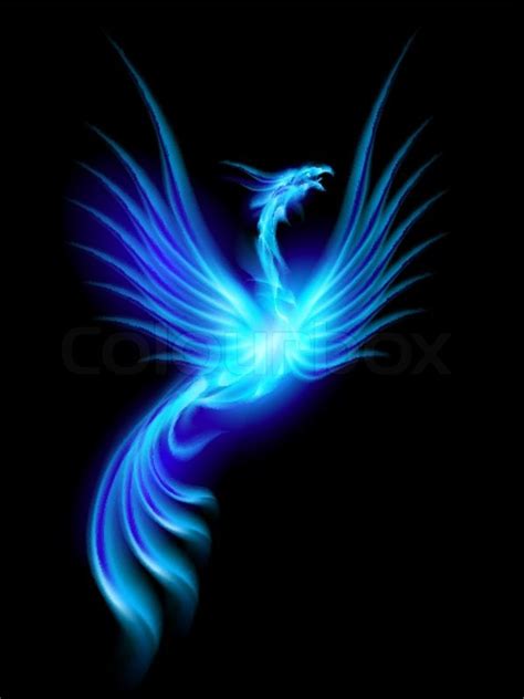 Beautiful Blue Burning Phoenix Illustration Isolated Over Black