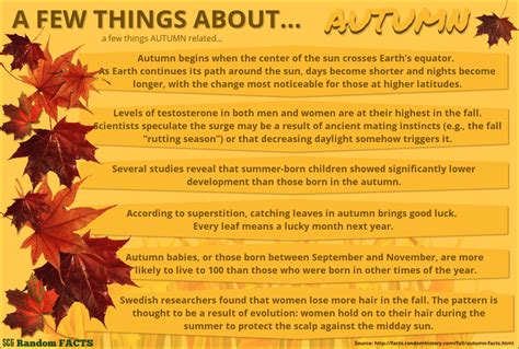 Scg Random Facts A Few Things About Autumn