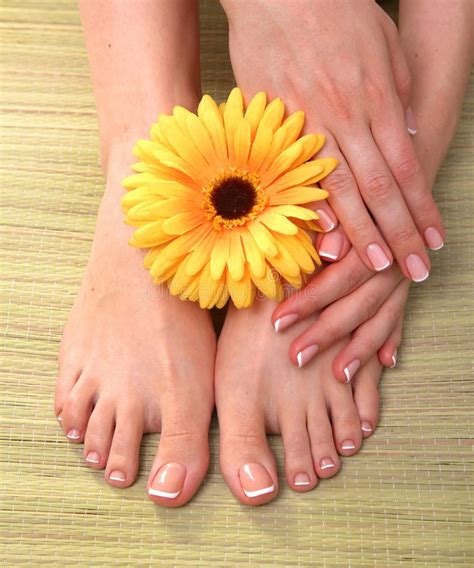 Closeup Photo Of A Beautiful Female Feet With Stock Photo Image Of