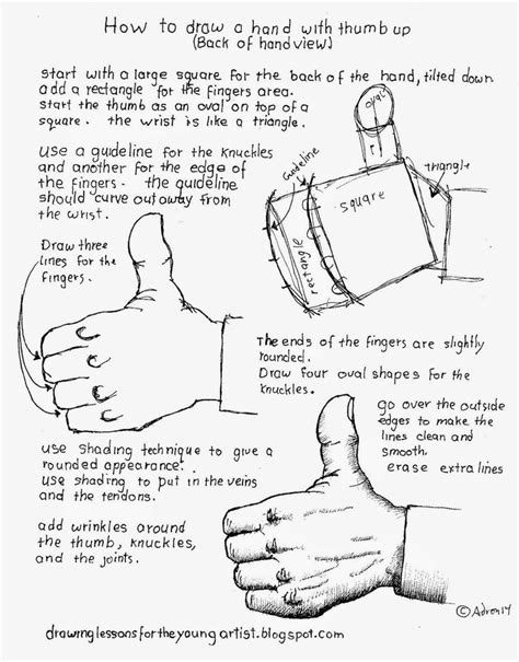 How To Draw Worksheets For The Young Artist How To Draw A Hand Thumbs