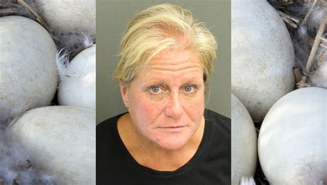Woman Arrested After Breaking Goose Eggs At Lake Eola Police Say