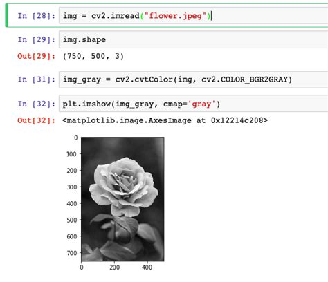 How To Display A Matplotlib Rgb Image Using Opencv In Python