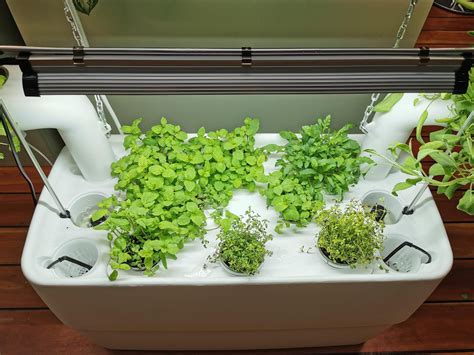 Hydroponic Garden System With Led Light For Growing At Home