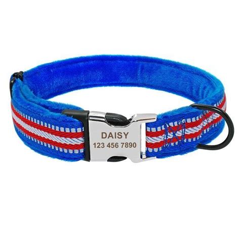 The 6 Best Puppy Collars Australia Tested And Evaluated 2023