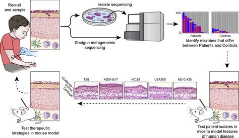 The Microbiome In Patients With Atopic Dermatitis Journal Of Allergy