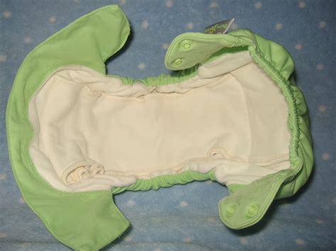 Cloth Diaper Addiction Bumgenius Organic Aio Review