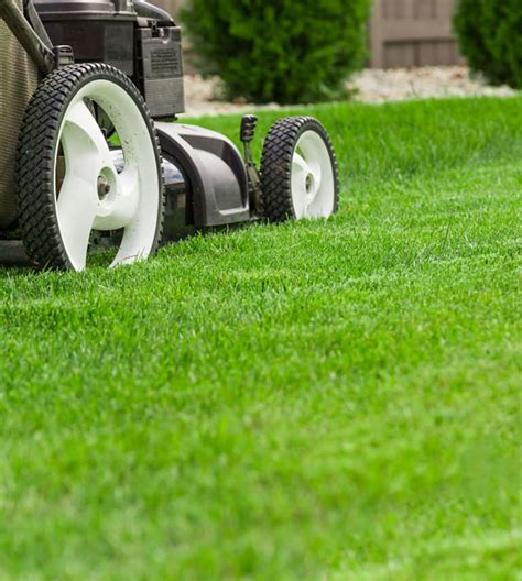 Lawn Care Service Kinnucan Tree Experts And Landscape Company