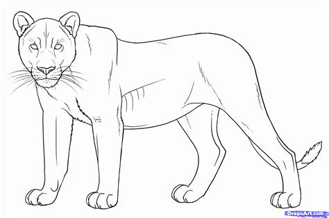 Easy Lioness Coloring Pages