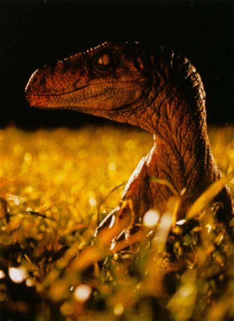 Velociraptor Movie Canon Jurassic Park Wiki Fandom Powered By Wikia