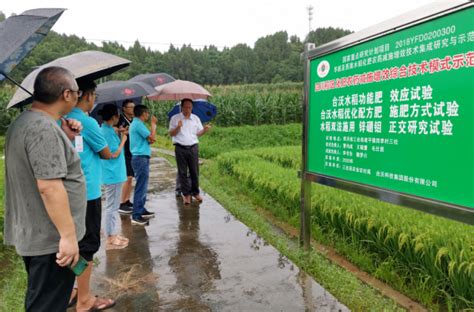 汉市卫生健康委员会 长沙市卫生健康委员会 合肥市卫生健康委员会 太原市卫生健康委员会 西安市卫生健康委员会 西宁市卫生健康委员会. "四川高原成都平原稻区特色农药化肥减施增效技术集成与示范"2020年项目推进会在四川召开 - 台沃科技集团股份有限公司
