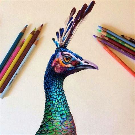 Pin By Stephanie Carey On Color Pencil Artists Pencil Drawings Color