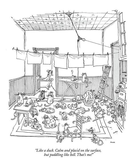 Image Result For George Booth Cats New Yorker Cartoons Cartoon