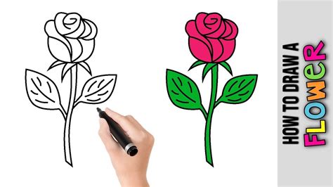 Lotus flower drawings made easy improve your flower drawing in less than 1 week blushe. How To Draw A Flower ★Cute Easy Drawings Tutorial For ...