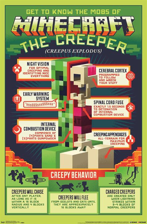 Minecraft Creeper Anatomy Poster
