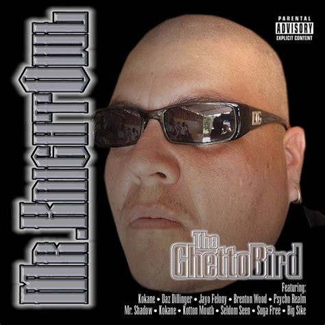 The Ghetto Bird Album By Mr Knightowl Spotify