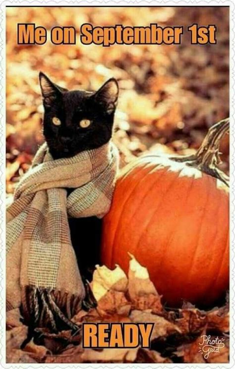 Fall Memes For The Autumn Obsessed Funny Fall Memes