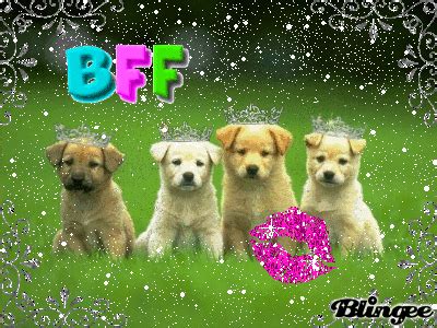 BFF puppies!!! :) Picture #112321935 | Blingee.com