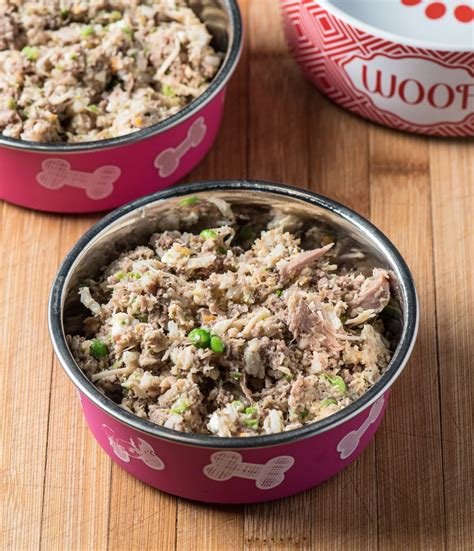 As their owner, it is your responsibility to develop an understanding of a healthy dog diet for diabetes. Healthy Homemade Dog Food - Tasty Low Carb