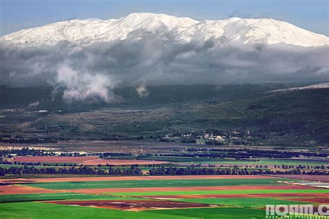 20 Spectacular Sights From The Israeli Winter And Spring Noam Chen