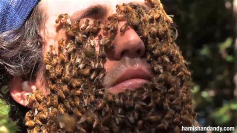 Andys Bee Beard Youtube