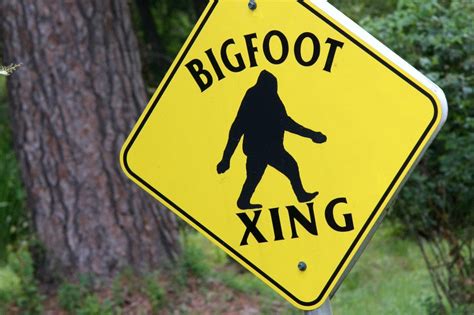 Police Facebook Post About ‘bigfoot Sighting Goes Viral