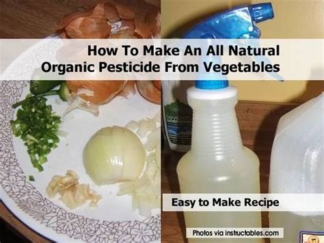 How To Make An All Natural Organic Pesticide From Vegetables