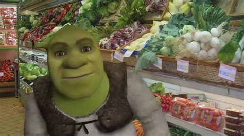 Shreks Day Out 1 Hour Youtube