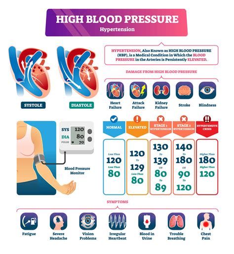 Why Blood Pressure Matters During Physical Ability Tests